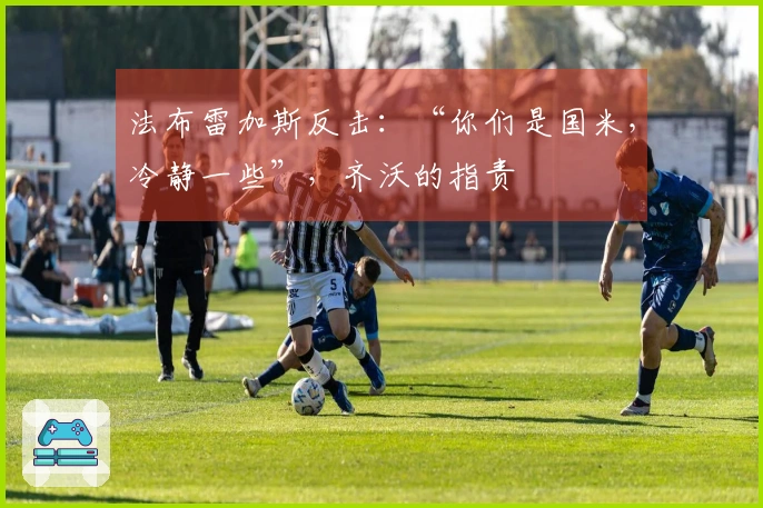 法布雷加斯反击：“你们是国米，冷静一些”，齐沃的指责
